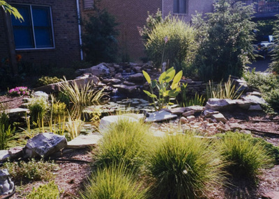 Reed grass and rock ground covering for a drought tolerant front yard landscape design in Arvada, Colorado. 