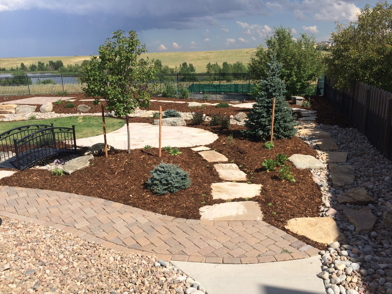 Custom home garden design with walkways, ground covering, and drought tolerant trees and plant selections in the Denver metro. 