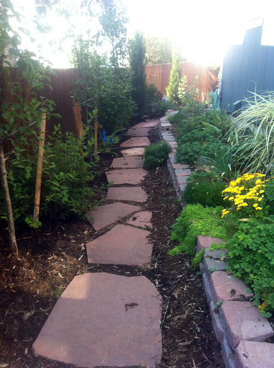 Custom stone pathway and raised garden beds for a side yard landscape design that is pollinator friendly in the Denver metro. 