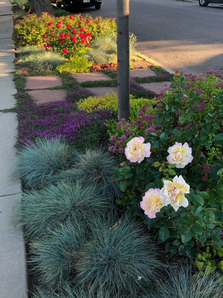 Best perennial garden bed flower selections for homes in the Denver metro. 