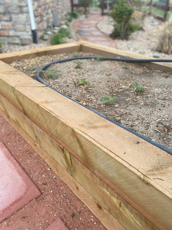 Raised garden bed design and construction with water wise drip irrigation in Arvada, Colorado. 