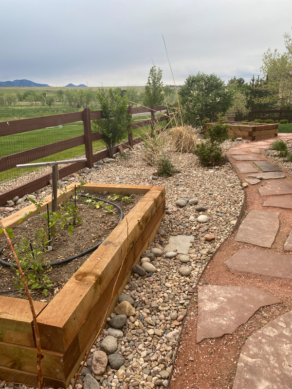 Water wise home gardening with raised garden bed in a Xeriscape style for side yard in Arvada, Colorado.