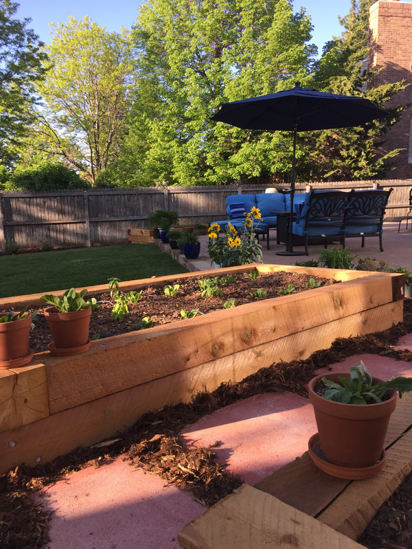 Raised garden bed and patio for a water saving backyard landscape design in Arvada, Colorado. 