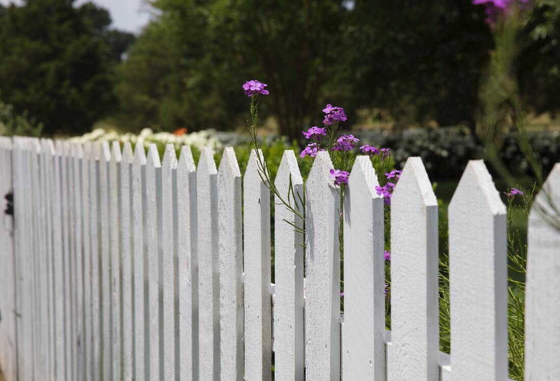 Photo of a classic white picket fence. 